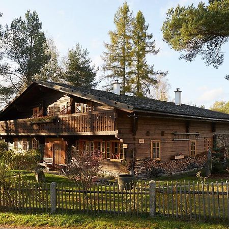 Affittacamere Volarská roubenka Volary Esterno foto